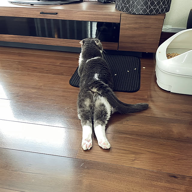 tansukeさんの部屋