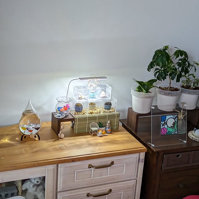 mi-saさんの部屋