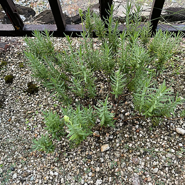 shin0719さんの部屋