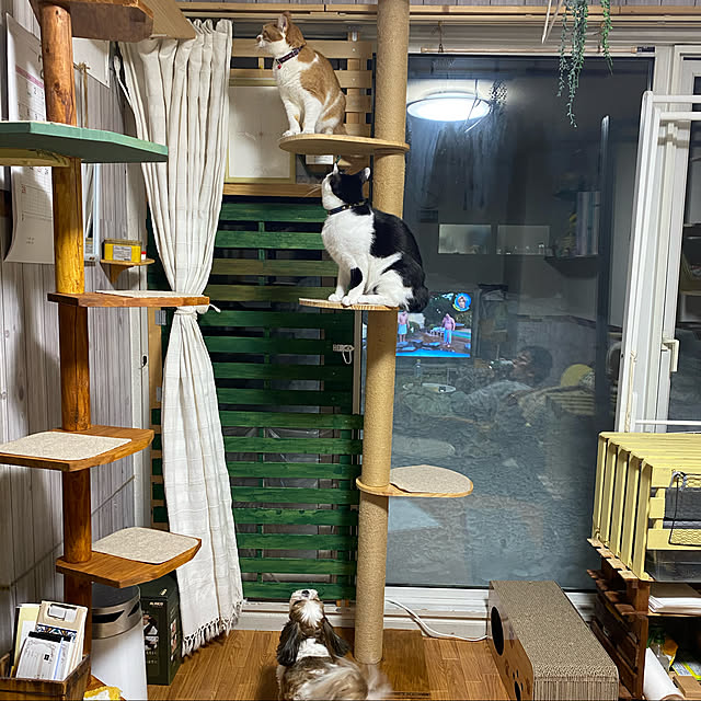 SHIHOさんの実例写真
