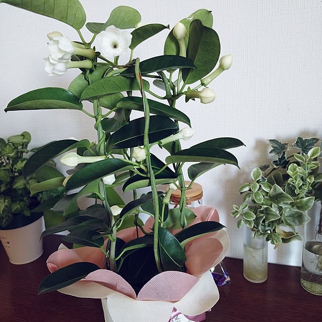 hopkeiさんの実例写真