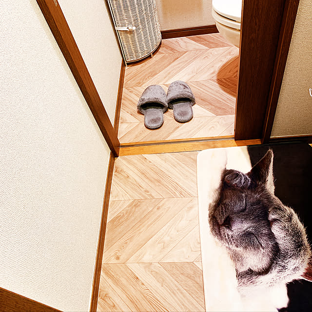 ranranranさんの実例写真