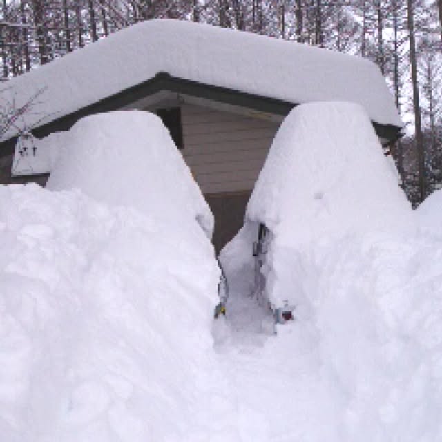 jnjnforesterさんの実例写真