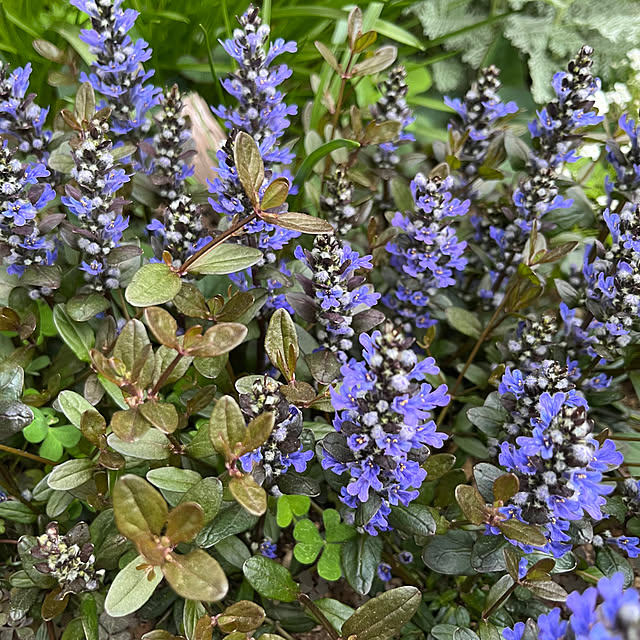 yuuumyさんの実例写真