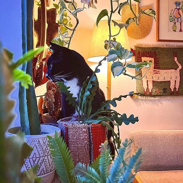 ochoriさんの部屋