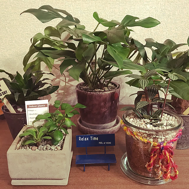 mamiさんの実例写真