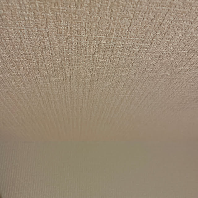 壁/天井のインテリア実例 - 2025-04-16 12:58:21