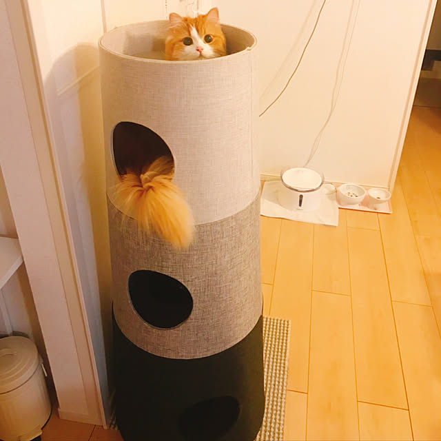 H.Tさんの実例写真