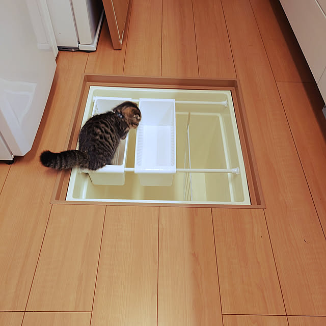noguriさんの実例写真