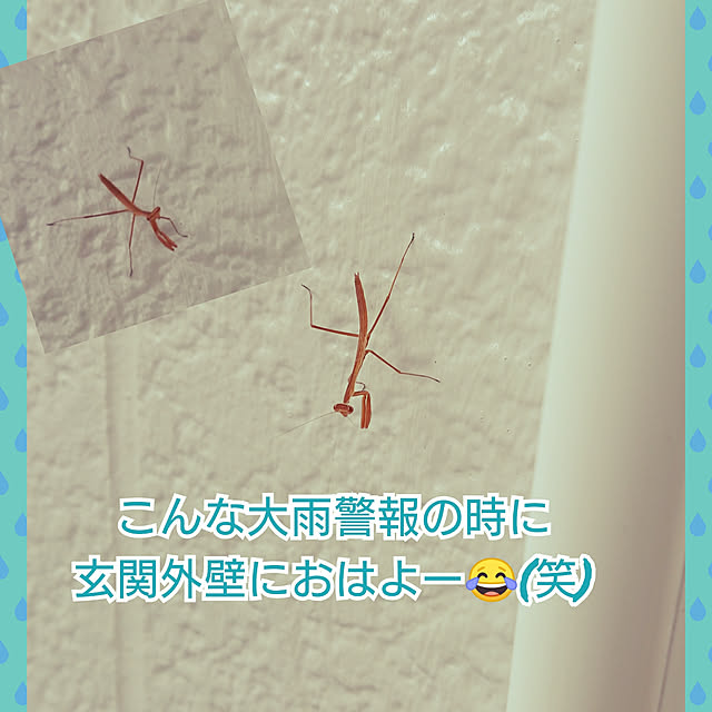 chimakiさんの実例写真