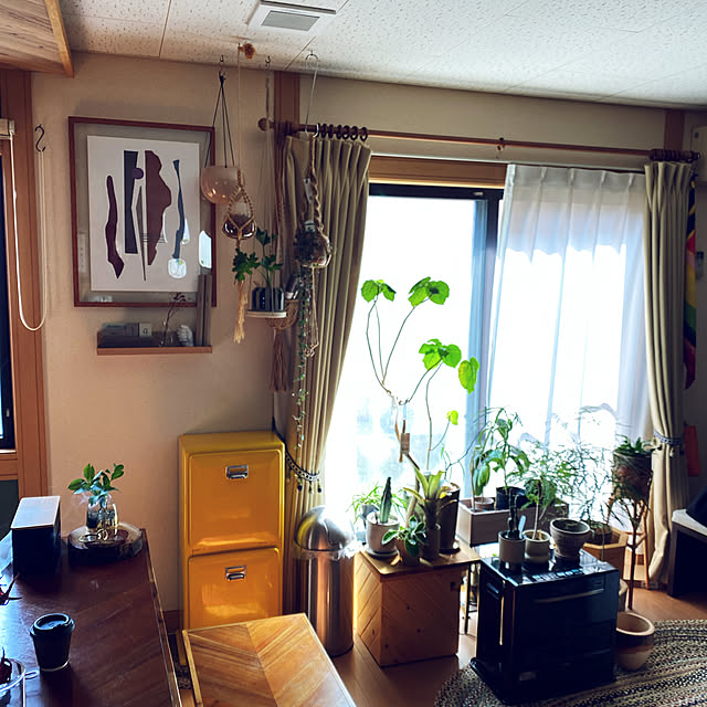 miiiiiさんの実例写真