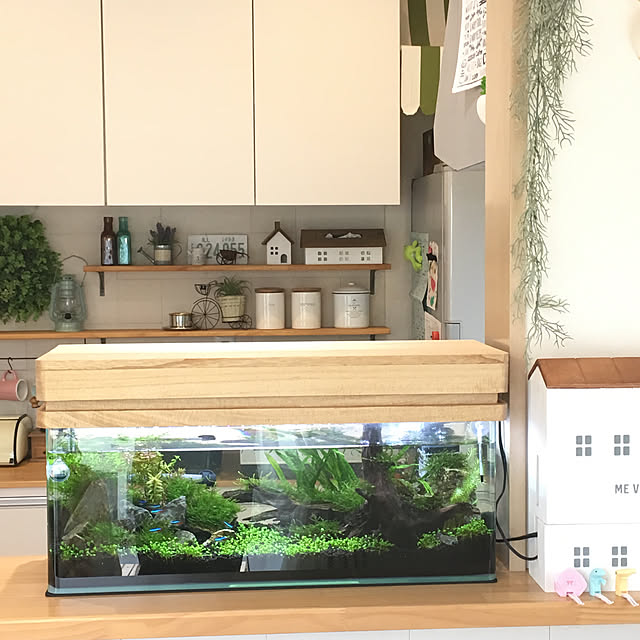 PEKO3_3さんの実例写真
