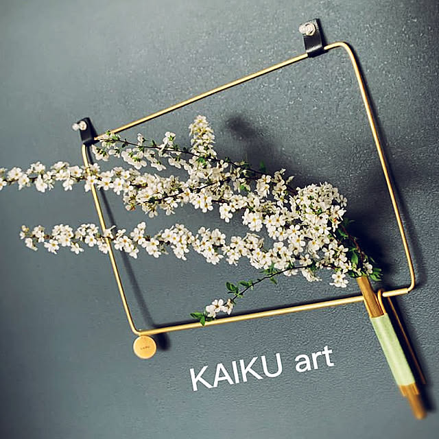 KAIKUさんの実例写真