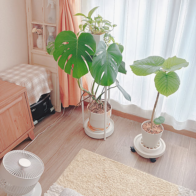 yuyuさんの部屋