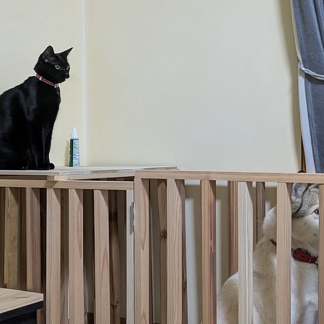 asaさんの実例写真