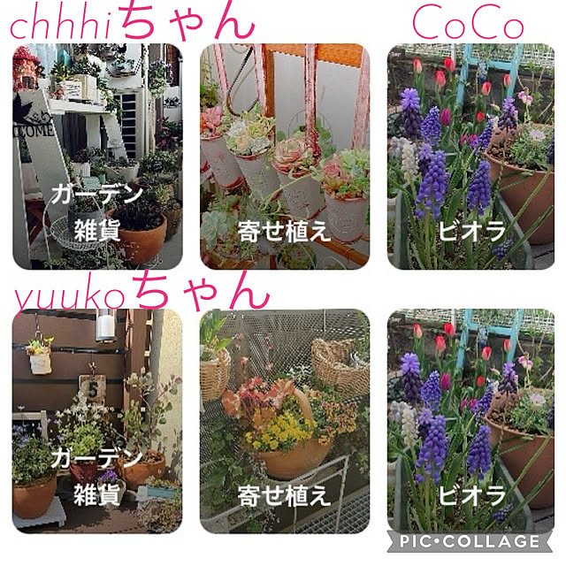 CoCo0617さんの実例写真