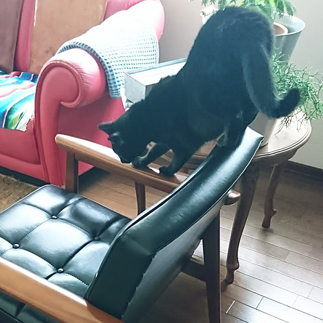 Kさんの実例写真
