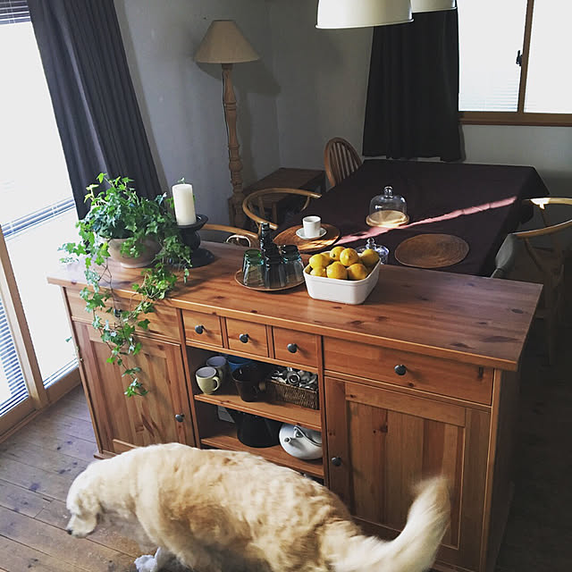 棚/IKEA/観葉植物/無印良品/DIYのインテリア実例 - 2018-03-21 16:24:24