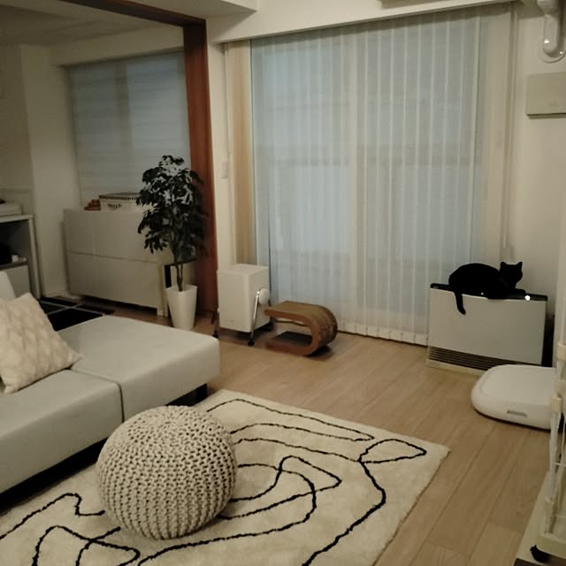 sakuraさんの実例写真