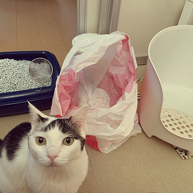 Yukikoさんの実例写真