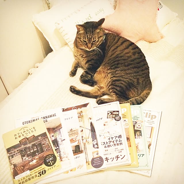 lovecatさんの実例写真