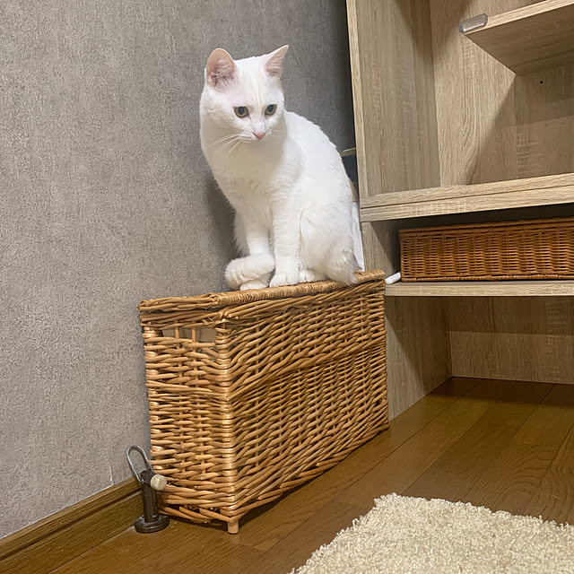 keiさんの実例写真