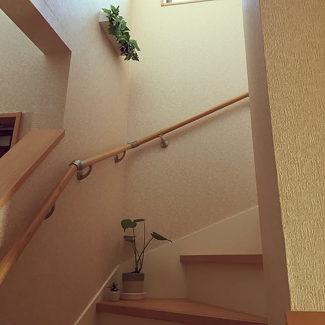 Ayanoさんの実例写真