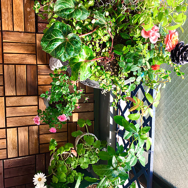 naokoさんの部屋