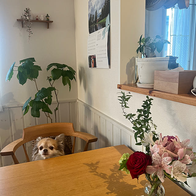 maimai35さんの実例写真