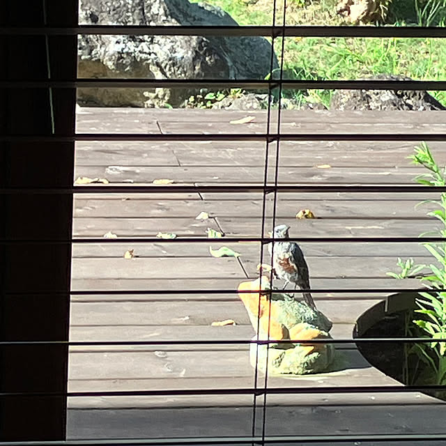 Nagakoさんの部屋