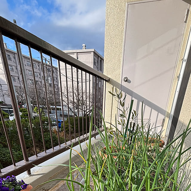 syutmmさんの部屋