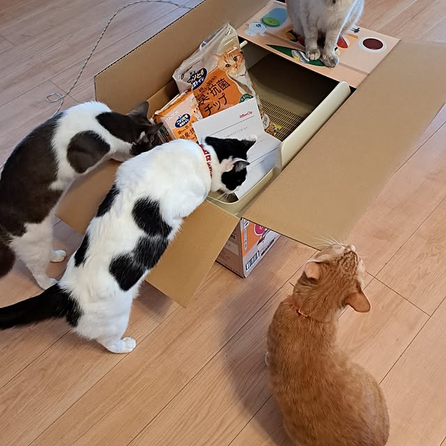 kiyohima229さんの部屋