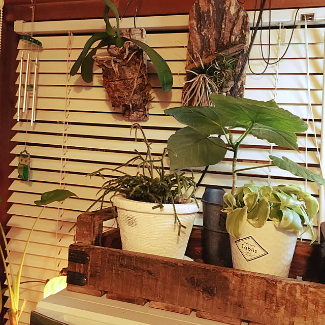 mimichankさんの実例写真