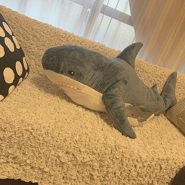 Miki25さんの実例写真