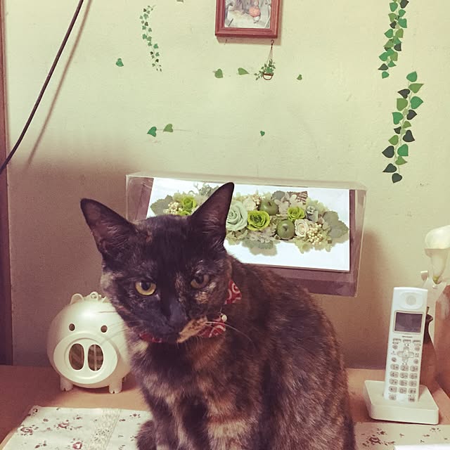 greenさんの実例写真