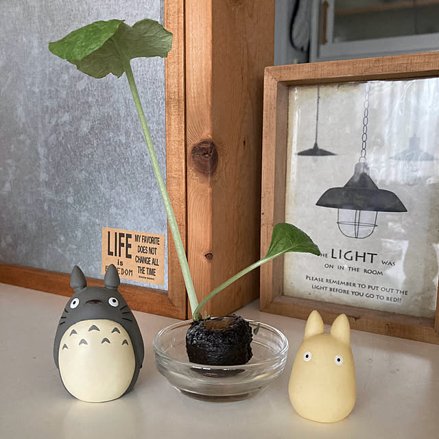 kameさんの部屋