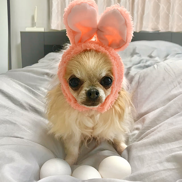 Ericakさんの実例写真