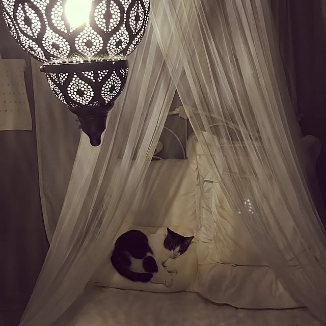 Shihoさんの実例写真
