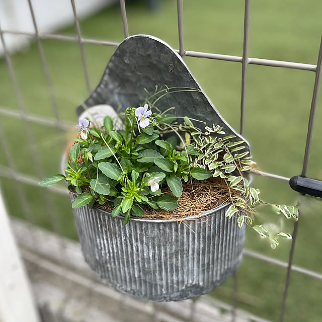 shiropenguinさんの部屋