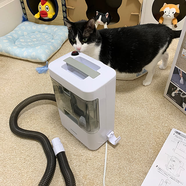 bikkeさんの実例写真