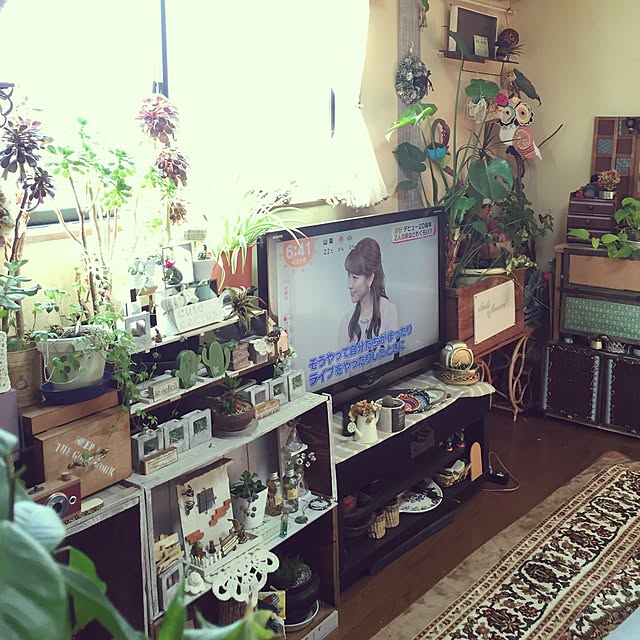 Norikoさんの実例写真