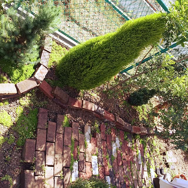 Sakura_Ayumiさんの実例写真