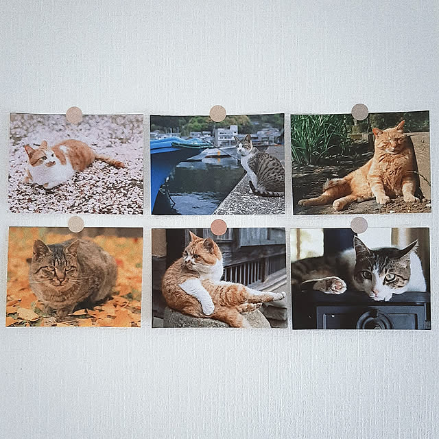 mo_no_nikkiさんの実例写真