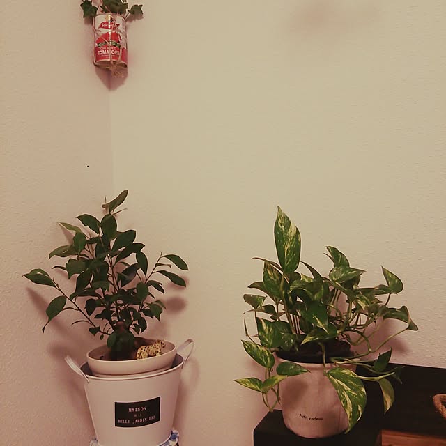 Roseさんの実例写真