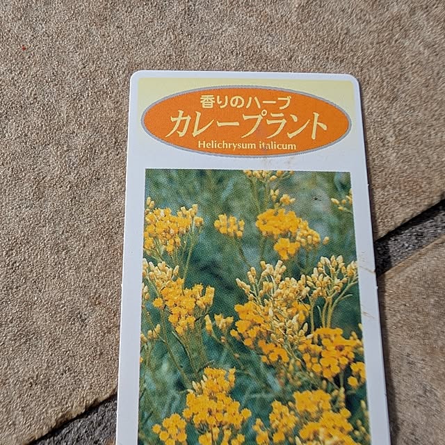 KOHAKUさんの部屋