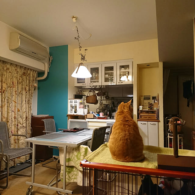 okyosan101さんの実例写真