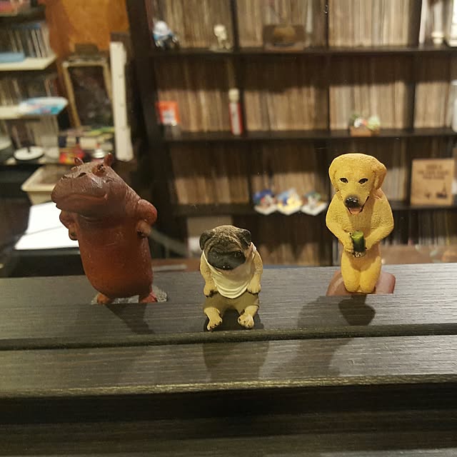 fujikikun.m.comさんの実例写真