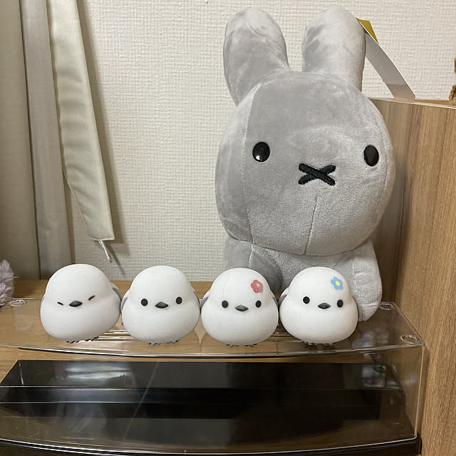 koroさんの実例写真