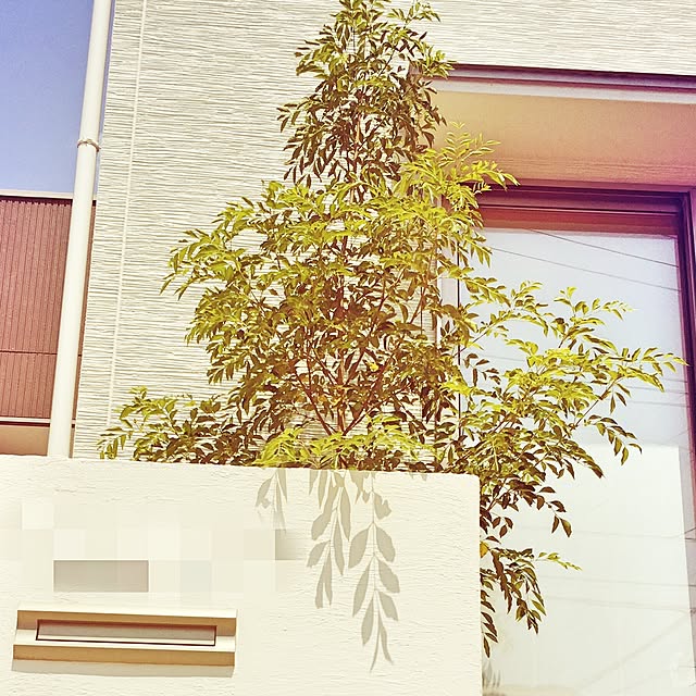 lanaさんの実例写真