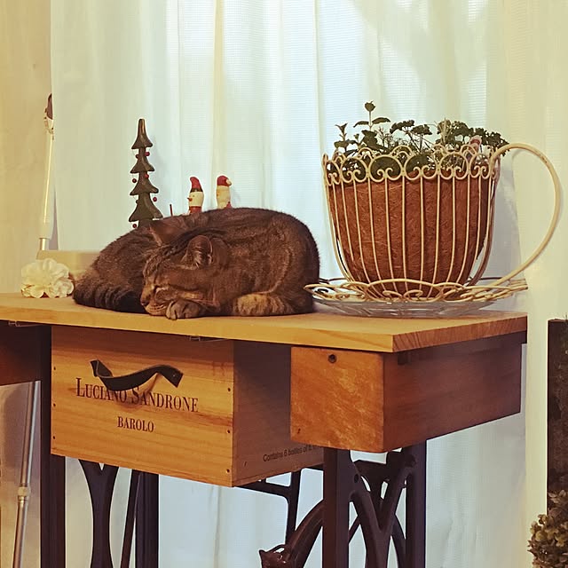 Miechamさんの実例写真